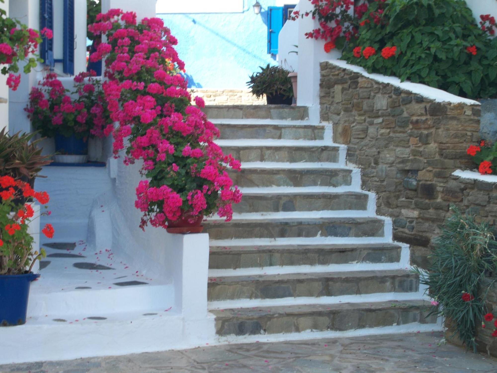 Galini Bungalows Kionia Rom bilde